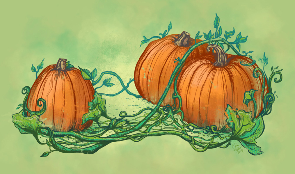 Pumpkins - color