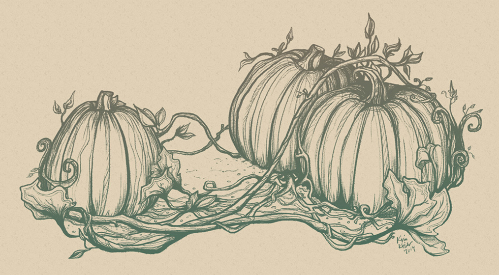 Pumpkins - lineart